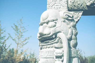 图聚科技